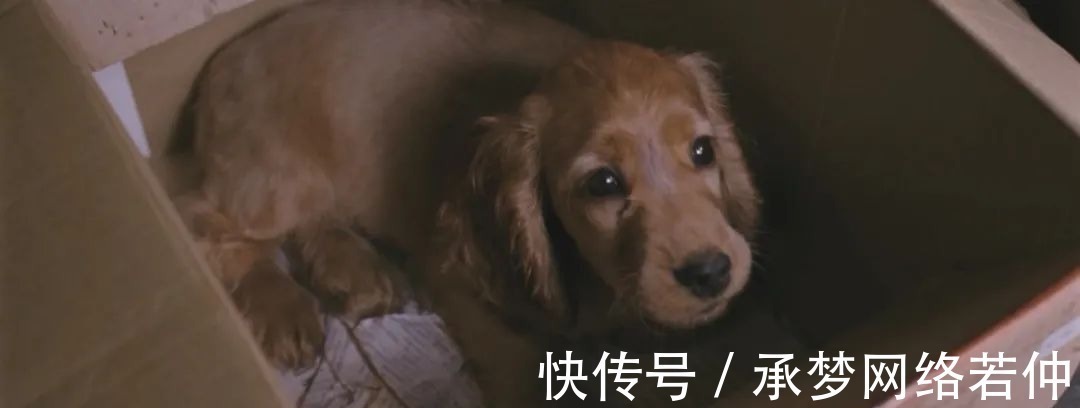 学生时代|孩子是我生的养的,凭什么要道歉?13岁女孩揭开中国父母通病