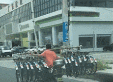 |搞笑GIF动画:这俩汪星人在跳探戈呢!舞步很标准喏!