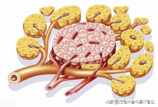 苯并芘|揭秘常见食物中的一级致癌物,长期食用会导致细胞癌变,尽量少吃