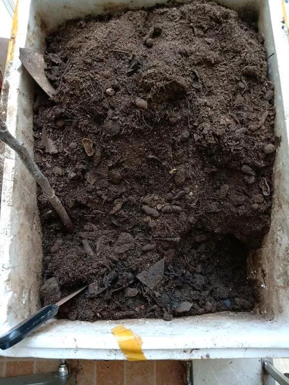 家家都有的3种“钾肥”，给花喂一点，根壮苗粗结果多！