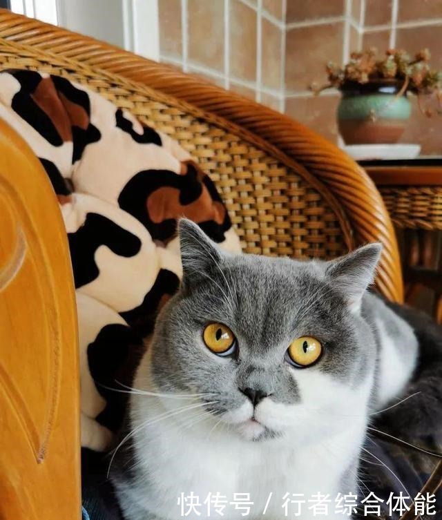 一方阳台,一方多肉,我的生活和姿态!一方阳台,一方多肉,我的生活和姿态!