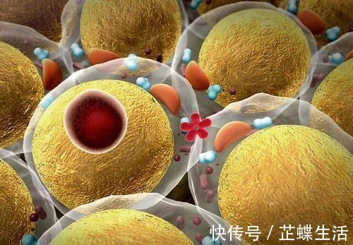 肿瘤细胞|良性肿瘤可以不用管吗?很多人都想错了,听专家讲良性与恶性肿瘤