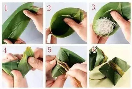 叶子|7种叶子,适合包粽子,操作方便还有竹香!