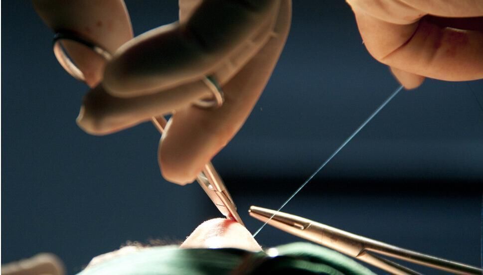 小说|三本主角三观很正的小说,不小白不圣母,智商在线,看着非常过瘾