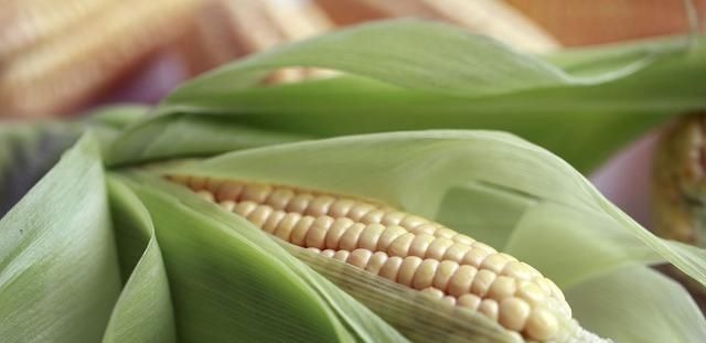 忌口|长肉“最猛”的5种美食，减肥的人趁早忌口，管住嘴就是赢