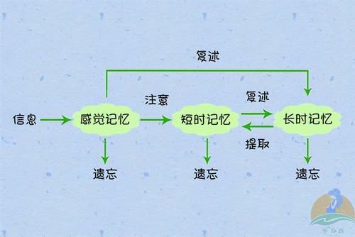 婴儿|婴儿满三岁后“集体失忆”，宝宝究竟忘记了哪些事？过来人告诉你