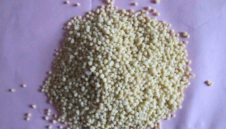 发财树,多施肥,多通风,俩月戳屋顶