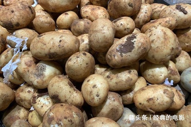 今天才知道,保存土豆这么简单一年一点不坏,要是早点学会就好了