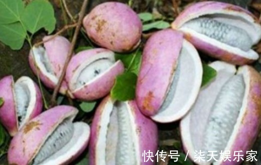 老少皆宜|女性不想显老，不妨多吃以下的食物，补血益气，延缓衰老