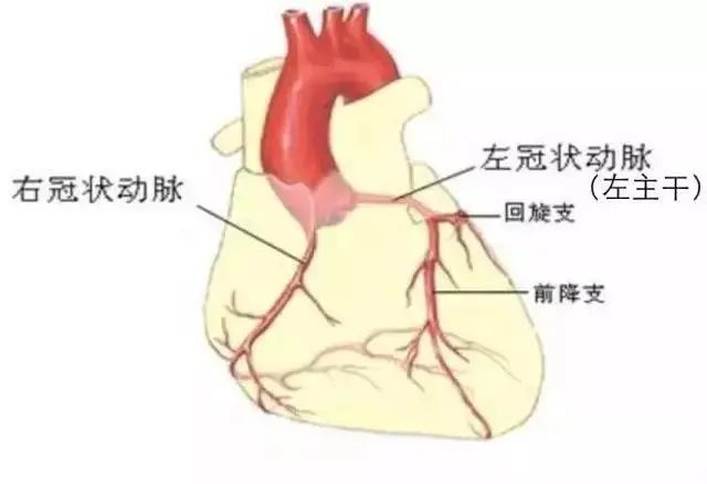 微创|三根心脏大血管堵了两根半，冠脉微创技术挽救男子“濒死”的心脏