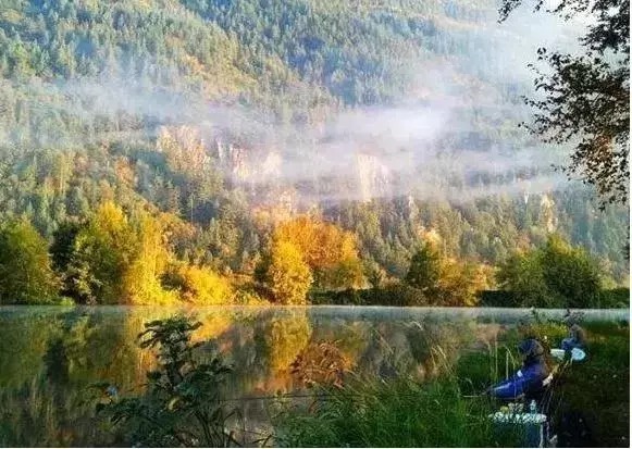 秋季掌握这些技巧,鱼获猛翻10倍,大鱼疯狂咬钩!