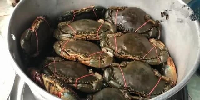 卖螃蟹的奶奶火到国外,看到她卖的螃蟹,她不红谁红?