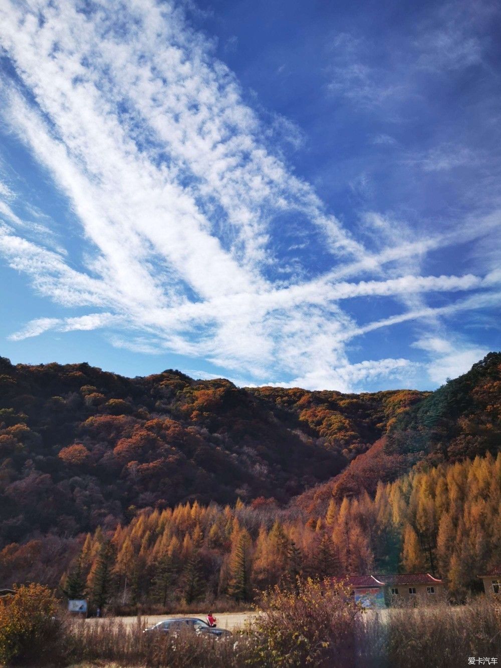 晚秋|欣赏晚秋的最后一抹色彩——关门山枫林