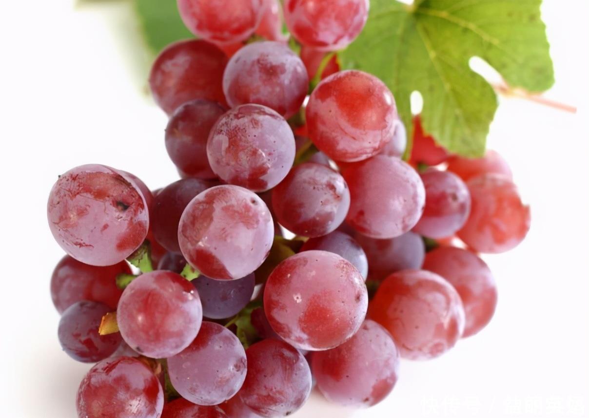 排毒|女性到了中年,常吃3种食物,补血抗衰,帮助身体排毒,延缓衰老