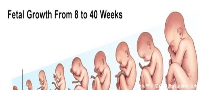 阶段|怀孕这3个阶段,婆婆妈妈最操心,想护胎儿周全,孕妈自己多上心