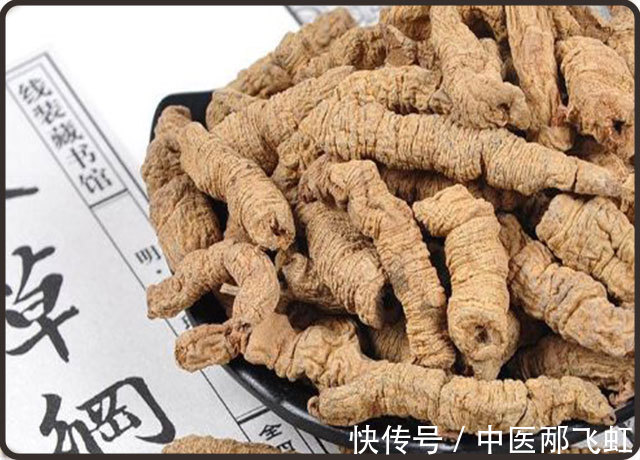 功效|巴戟天的功效与副作用