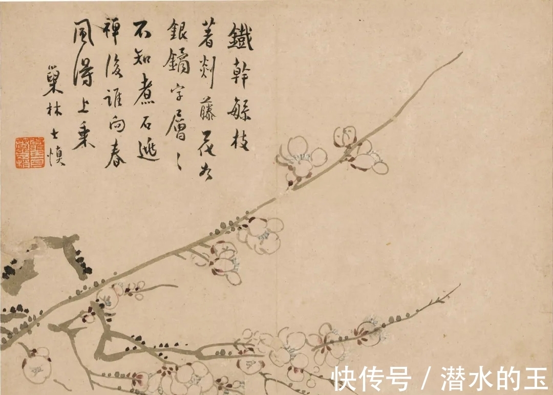 花卉图$汪士慎:一生心事为花忙丨私享艺术