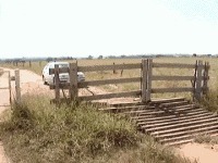 |搞笑GIF:姑娘长点心吧 对面住的可都是单身汉啊