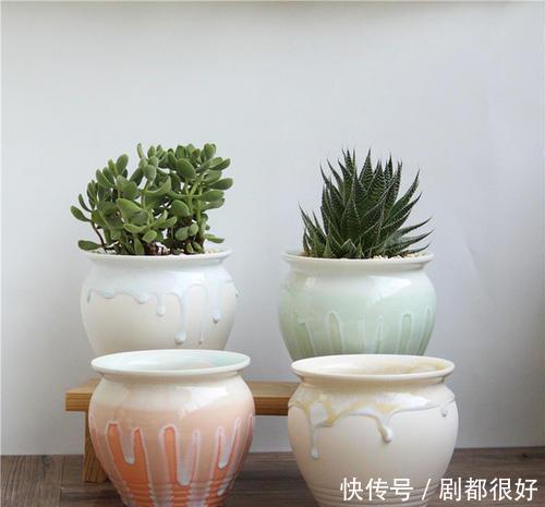  常见|6种常见的养花盆，最后一种养花长不好，新手慎用！