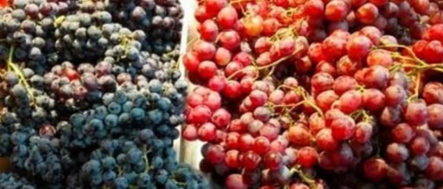 太相似|水果界的“双胞胎”了解一下能够全分清的估计只有果农了