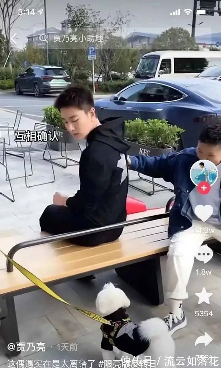 |搞笑变成闹笑话！贾乃亮晒搞笑视频被指违规遛狗，城管回应罚200