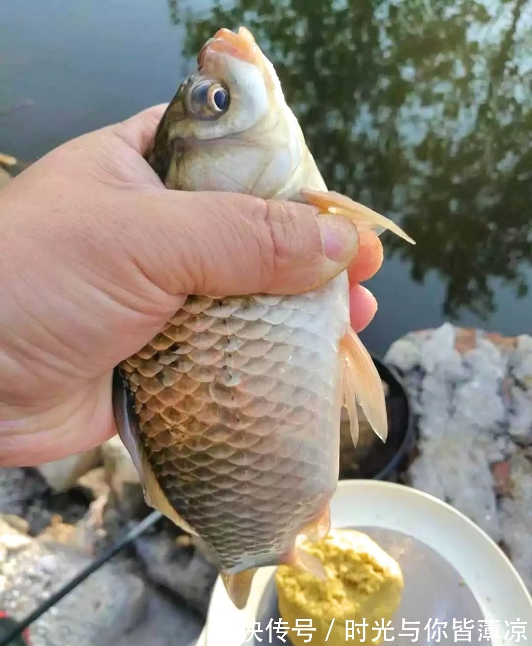 钓鱼的时候浮漂无动静,提竿却中鱼了,这是什么原因呢?