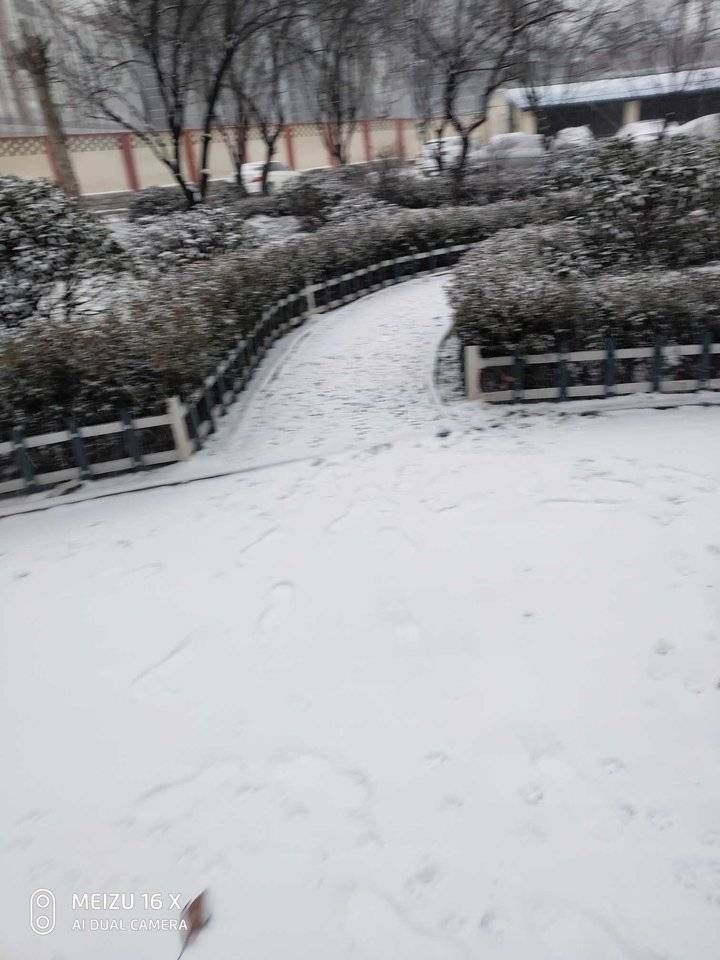 赏雪$在绿园里赏雪