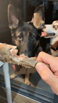 |搞笑GIF:哥们有你这样坐席的吗,你考虑过别人的感受吗