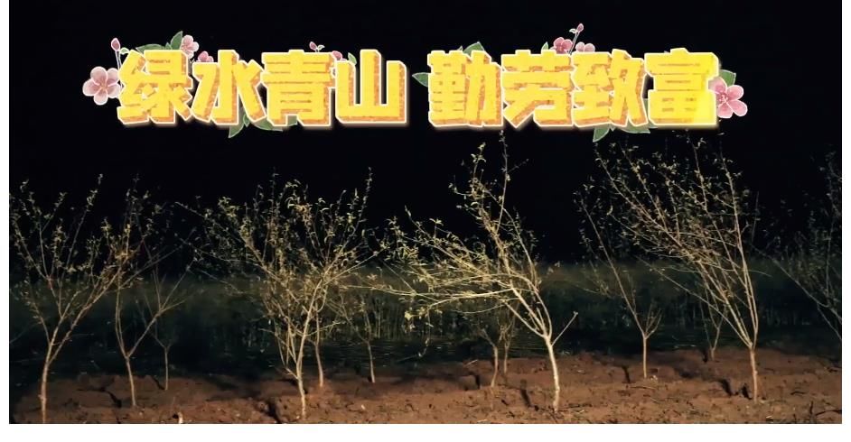 陈赫|《向往5》请了李诞陈赫，光吵闹不干活引热议，导演发文道出实情