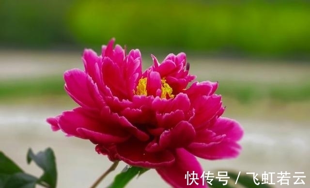 大发彩票 - 官方购彩平台注册即送88元安全可靠的彩票娱乐平台大小_是什么意思_彩票术语_彩票玩法_牛彩网