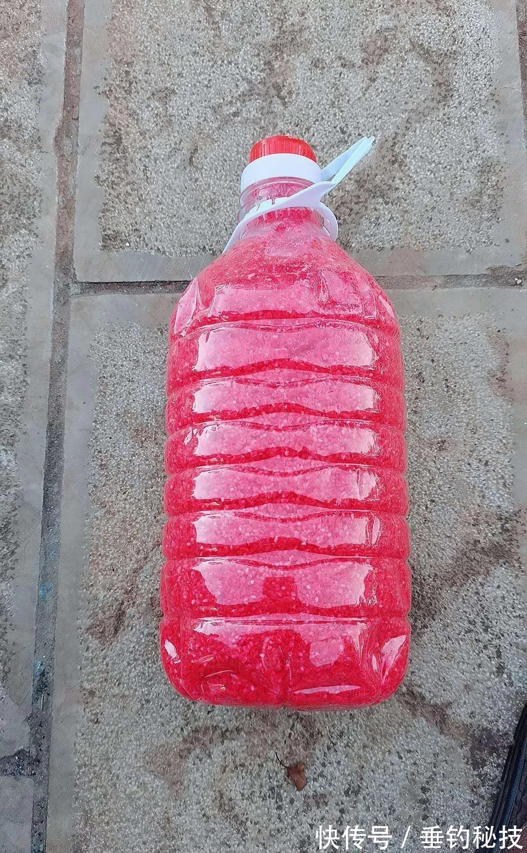 冬季钓鱼你用对饵料了吗?用对将满载而归!