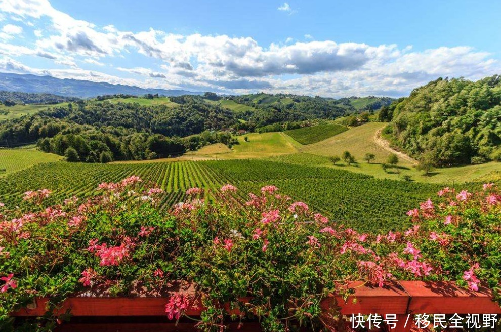 葡萄酒|斯洛文尼亚,葡萄酒乡的微醺时光