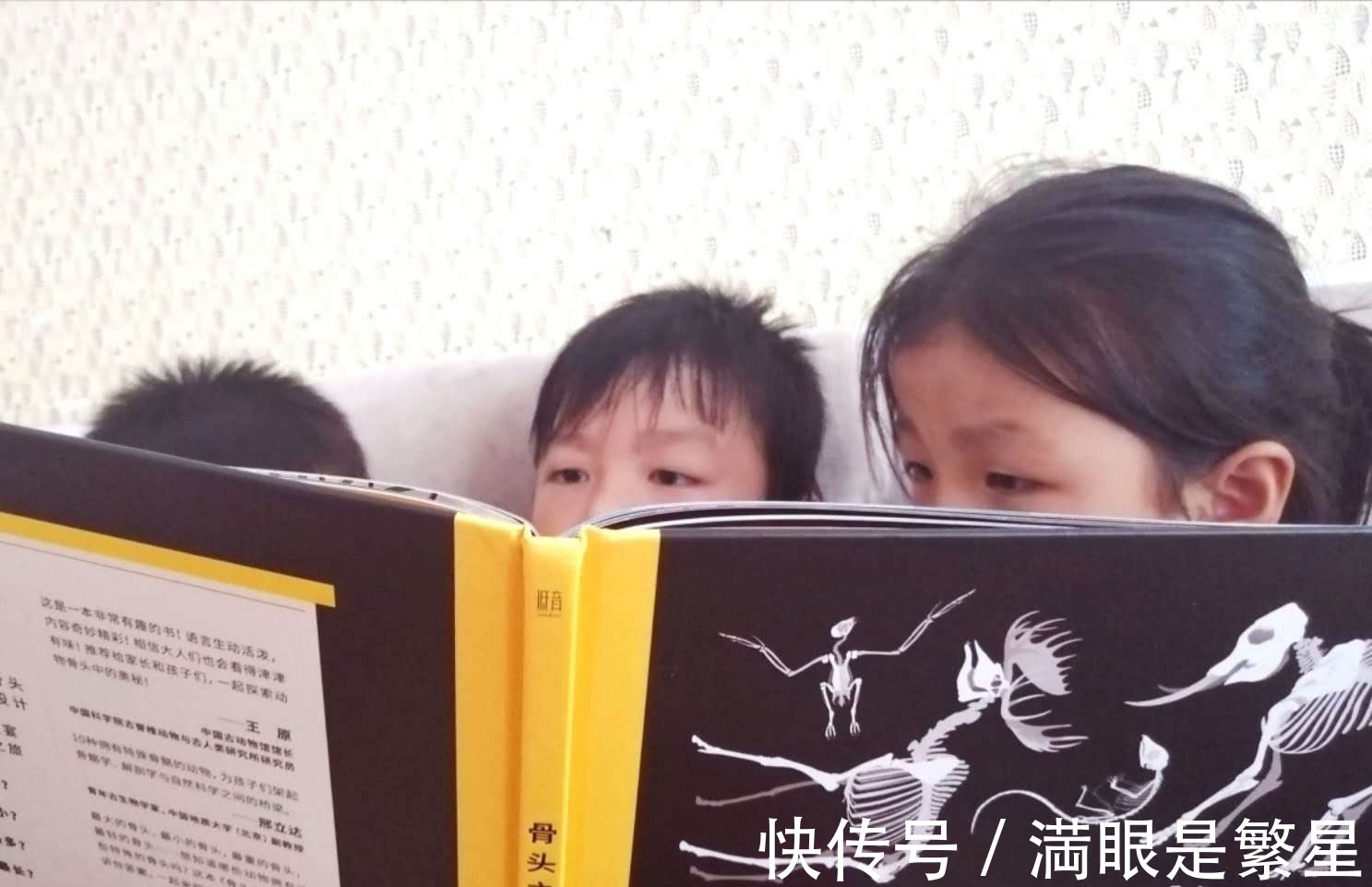 骨头之书&一本很有“骨气”的大书,帅气地告诉你10项世界之最