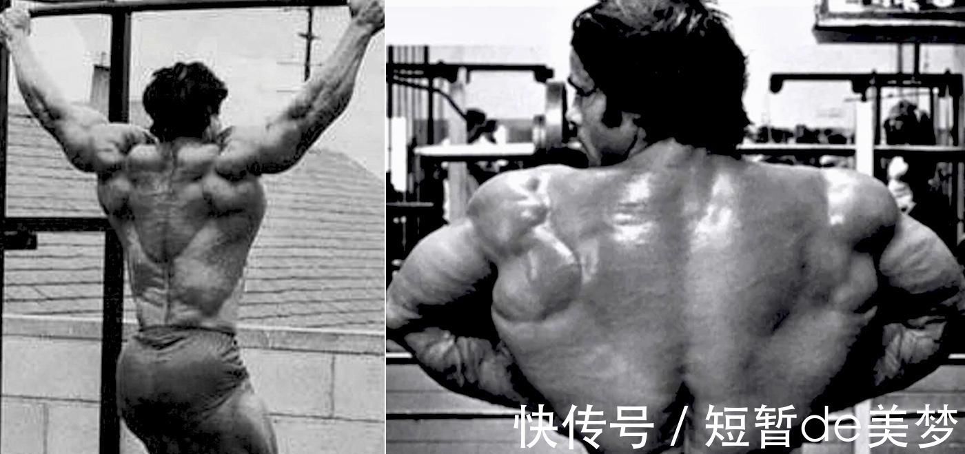 引体向上|训练背阔肌最好的7个动作,做对了让你的训练效果大不同