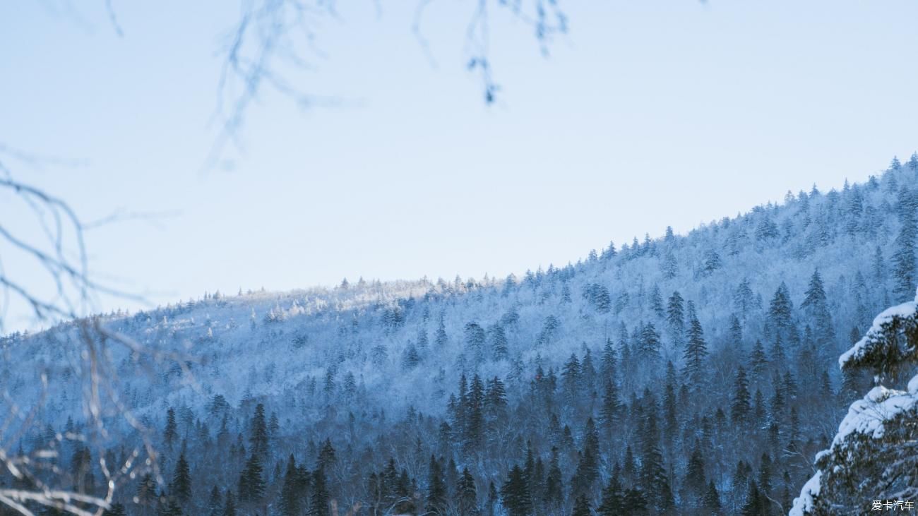 老年|在寂静雪原 遇见雪花真实的形状