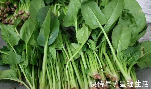 贫血|预防身体变老,不妨吃几种食物,改善贫血,淡化色斑,延缓衰老