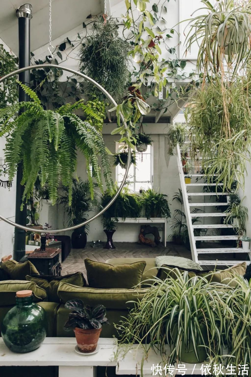 她在屋里种满500盆植物:呆在这样的房子里,生活更有了诗意!
