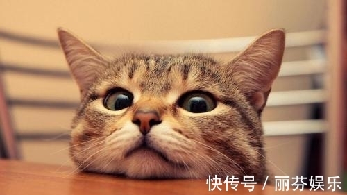 |幽默笑话:和女友恋爱了三年,家庭双方都已经见过面的