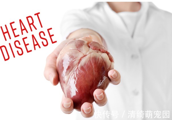 辅酶q10|心脏不好?或是缺乏这5种营养元素,建议要多吃粗粮多吃鱼等食物