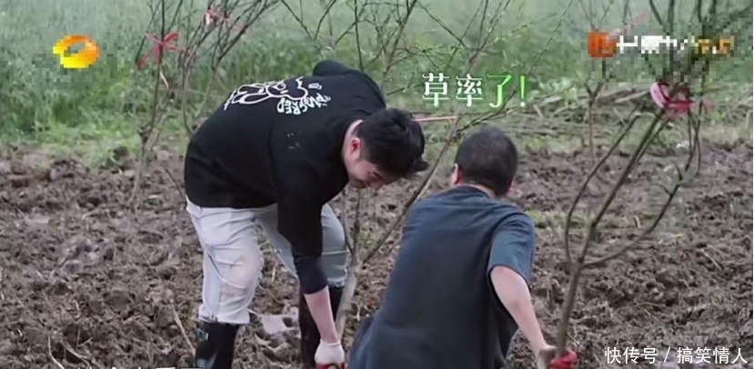 何炅 《向往》李诞陈赫抱怨干活累,何炅反驳:张子枫都搬得动