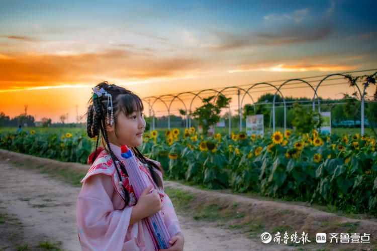 济南网红向日葵花海波澜壮阔如同画卷，如此美景别错过！|情报站| 向日葵