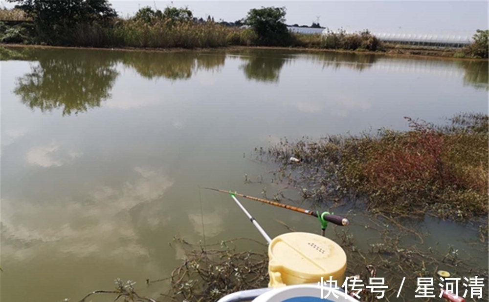 冬季的鲫鱼有4个典型习性,技巧跟着习性走,气温再低也能连竿