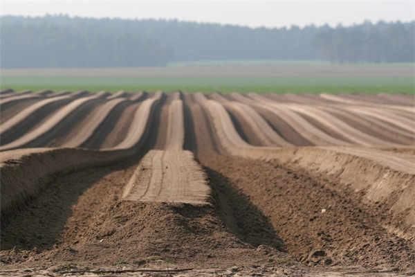 娘家|已婚女子户口在娘家,土地确权有份吗听内行人说完,瞬间明白了