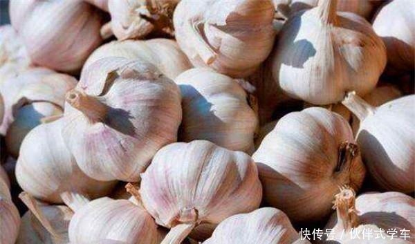 大蒜保存小技巧,不发芽不干瘪,保存一年都新鲜,方法简单!