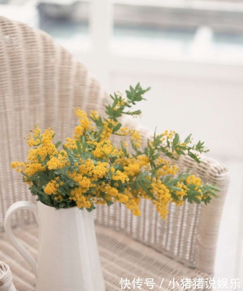 水瓶座|不会随便追求人的星座,虽然不擅长追女生,但是却很容易让人敬重