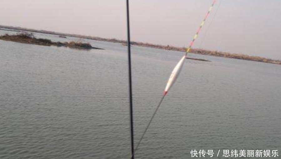 鲤鱼比鲫鱼难钓十几倍?老司机坦言:试试这三大“灵活”就知道了