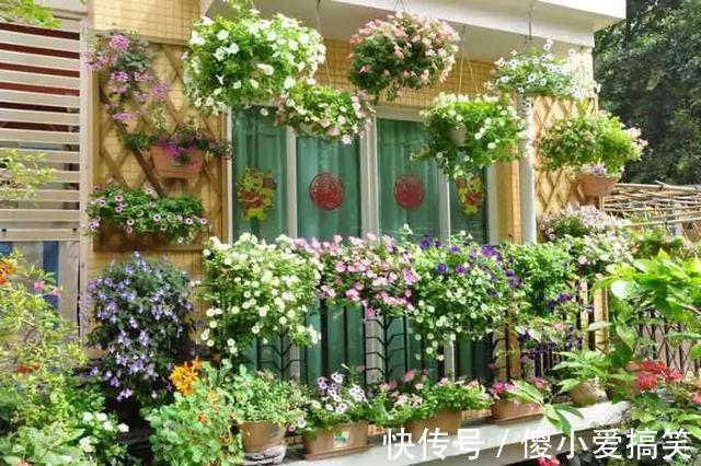 花园|3平米小阳台，也能变花园，有露台、阳台的千万别浪费！
