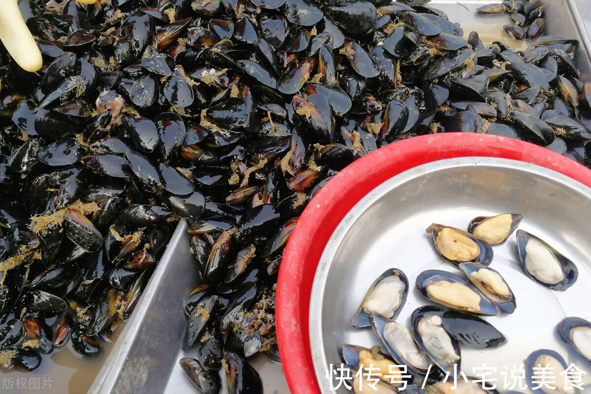 听名字误以为是蔬菜，被称“海中鸡蛋”，比鱼虾营养，比生蚝鲜美