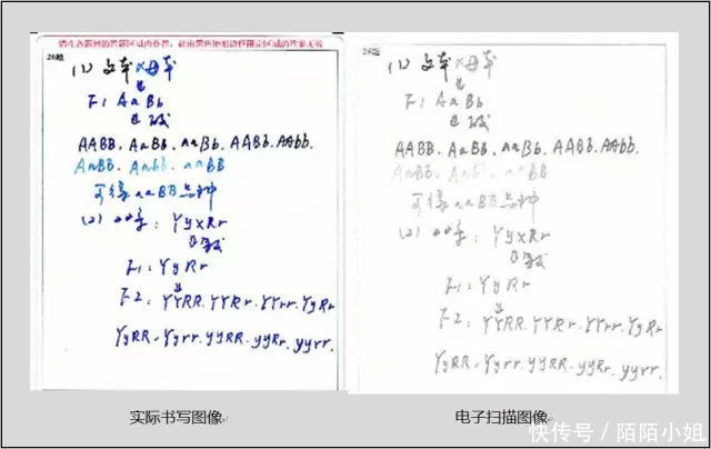 清华学霸给高中生的10个忠告, 无数高中生后悔没有早点看到！