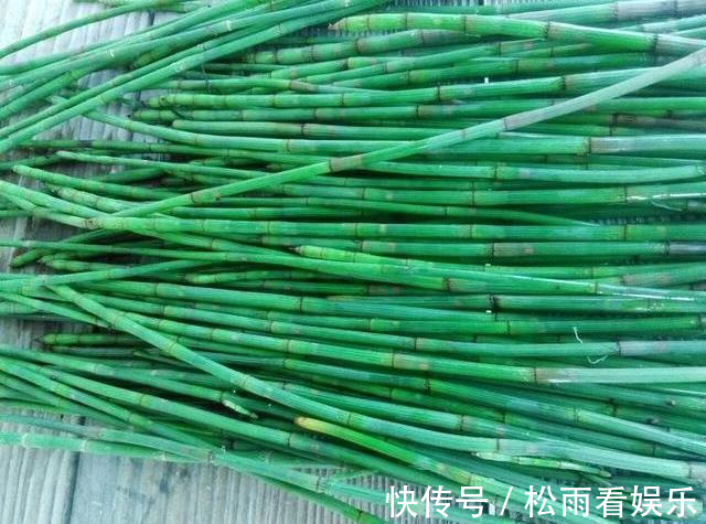 田野|农村一种“光棍”草,无叶无花只有杆,但煎水喝眼睛越来越明亮